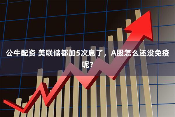 公牛配资 美联储都加5次息了,A股怎么还没免疫呢?